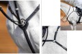 LeMieux Breastplate & Martingale